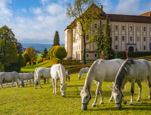 Schloss Piber