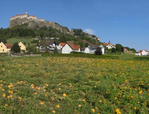 Die Riegersburg