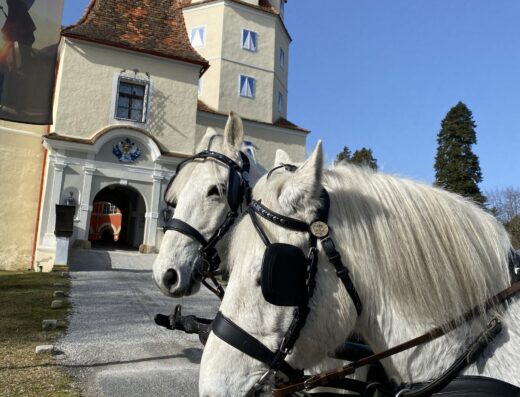 Schloss Kornberg