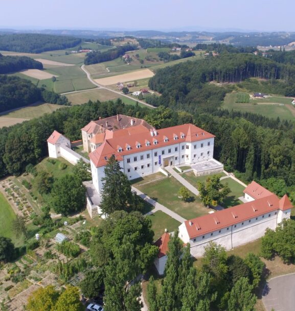 Castello di Negova