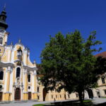 Abbazia di Rein